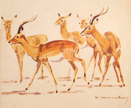 Bild Impalas von Uli Aschenborn